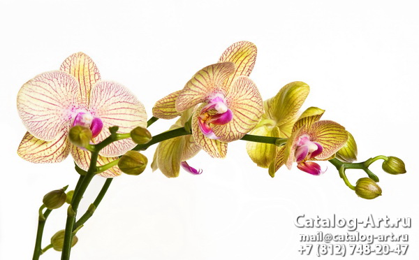 Натяжные потолки с фотопечатью - Желтые и бежевые орхидеи 6